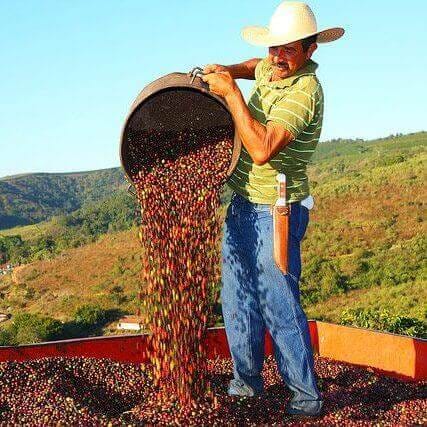 Svg+xml,%3Csvg%20viewBox%3D%220%200%20427%20427%22%20width%3D%22427%22%20height%3D%22427%22%20xmlns%3D%22http%3A%2F%2Fwww.w3